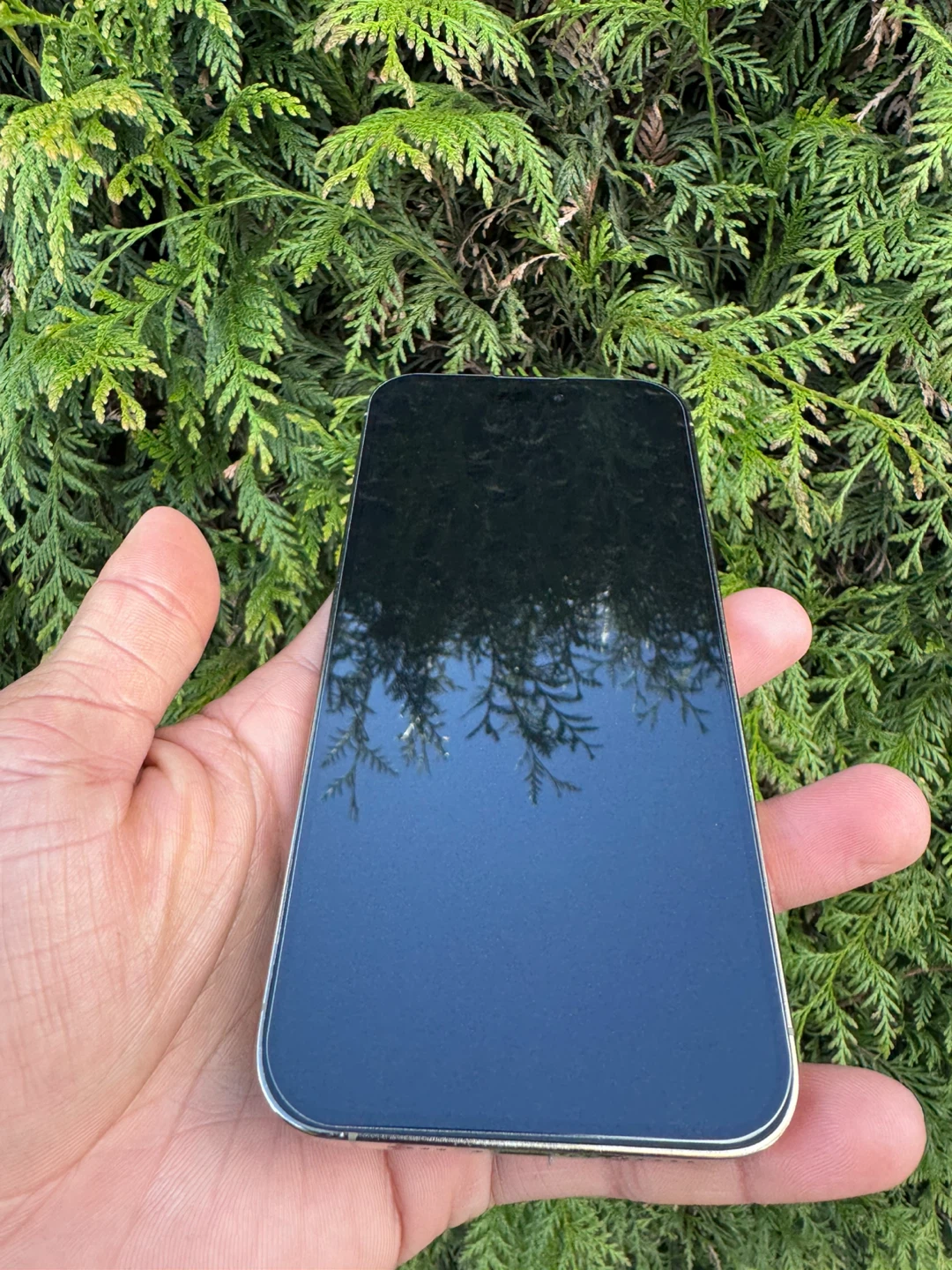 iPhone 📲 14 pro Max - photo 4