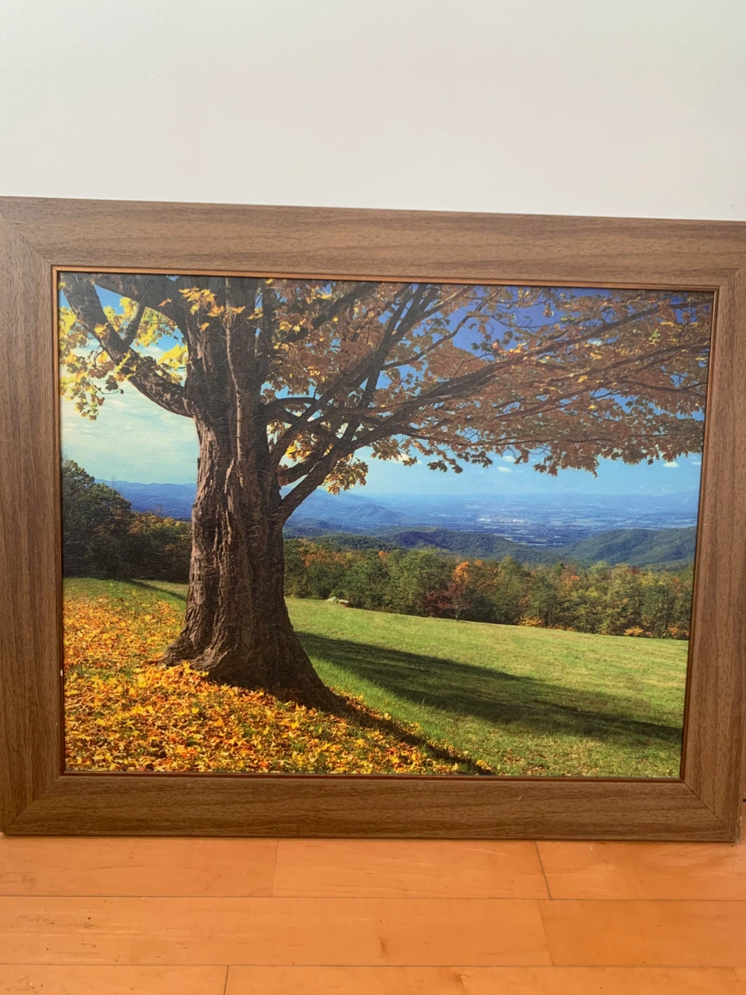 Framed Autumn Landscape Painting