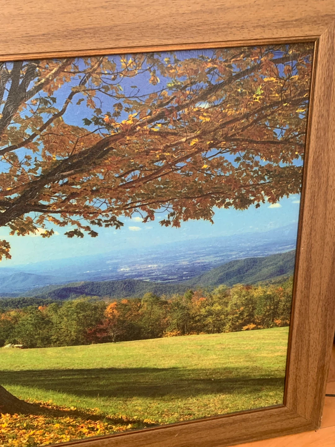 Framed Autumn Landscape Painting - photo 3