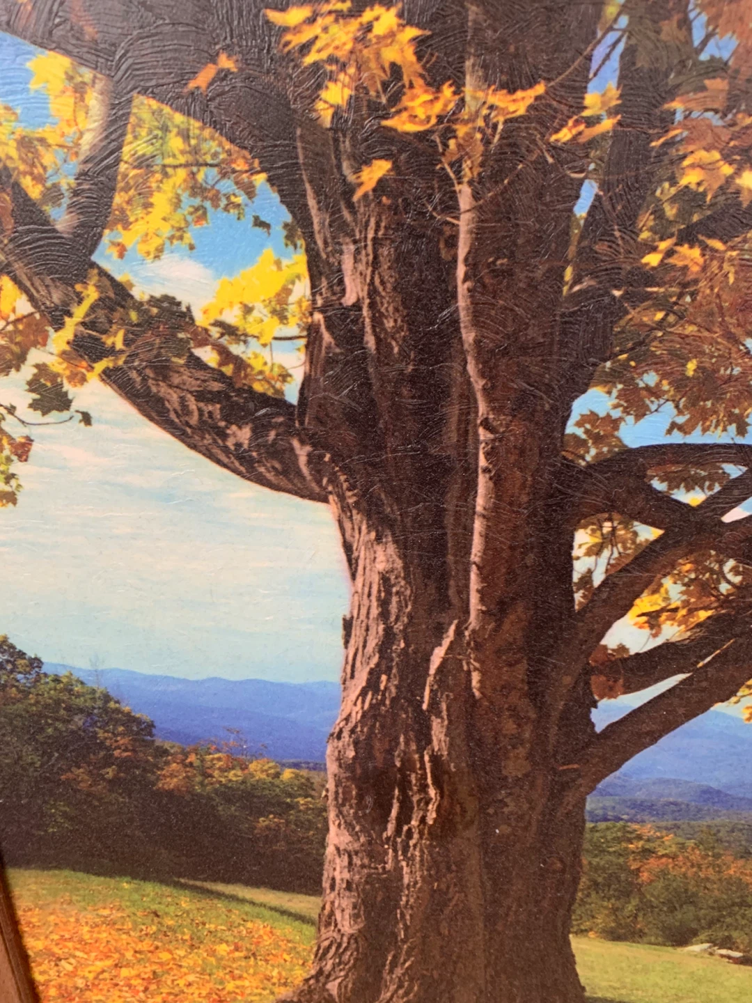 Framed Autumn Landscape Painting - photo 2