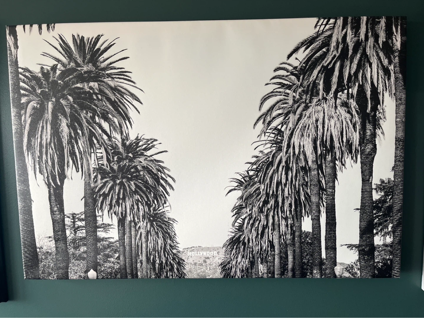 Hollywood Palm Tree Canvas Wall Art - photo 2
