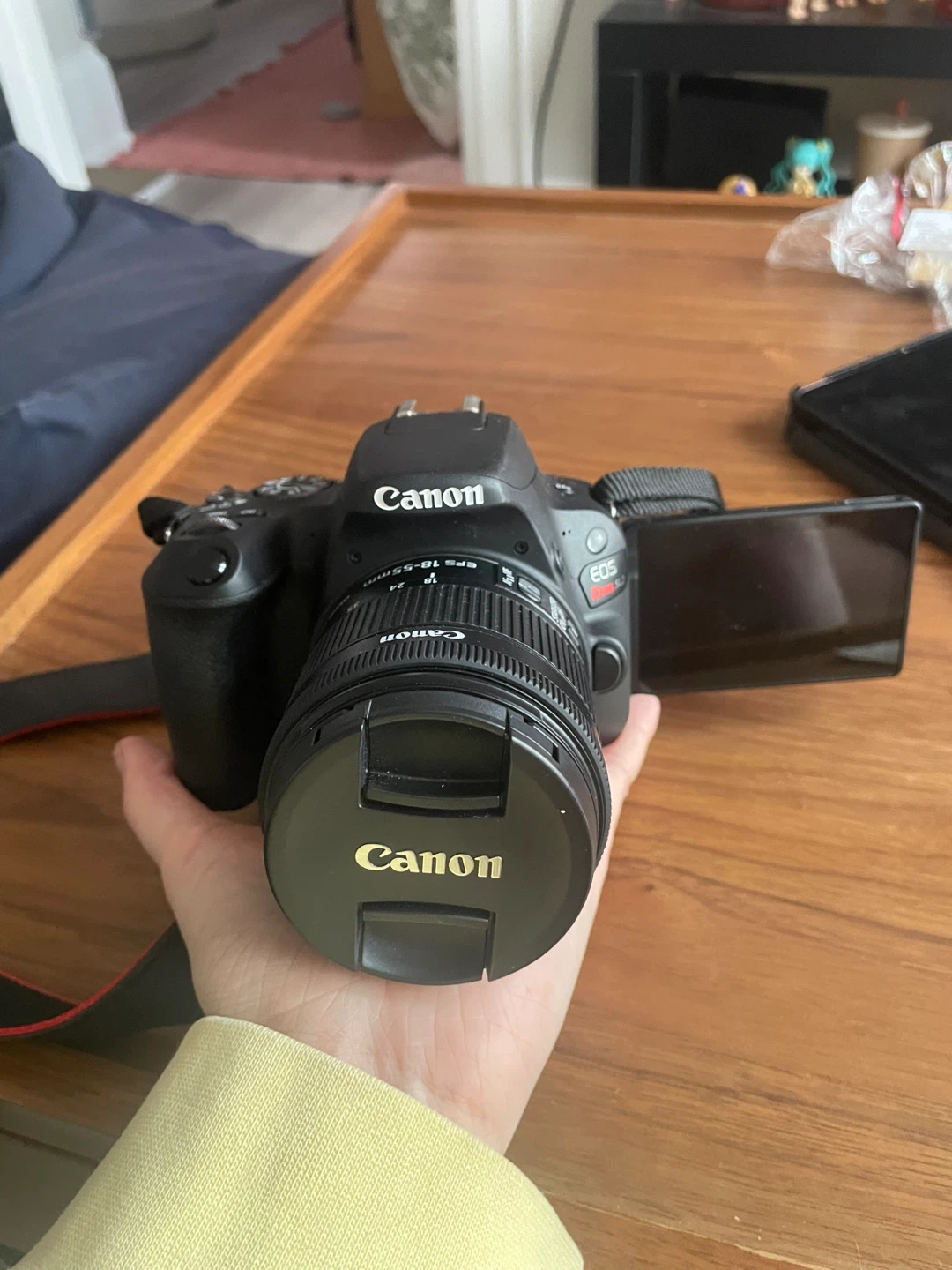 Canon EOS Rebel T7 DSLR Camera with 18-55mm and 55-250mm Lenses - photo 3