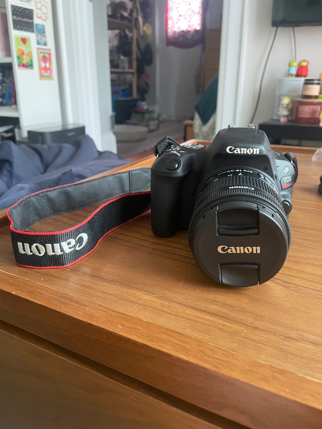 Canon EOS Rebel T7 DSLR Camera with 18-55mm and 55-250mm Lenses