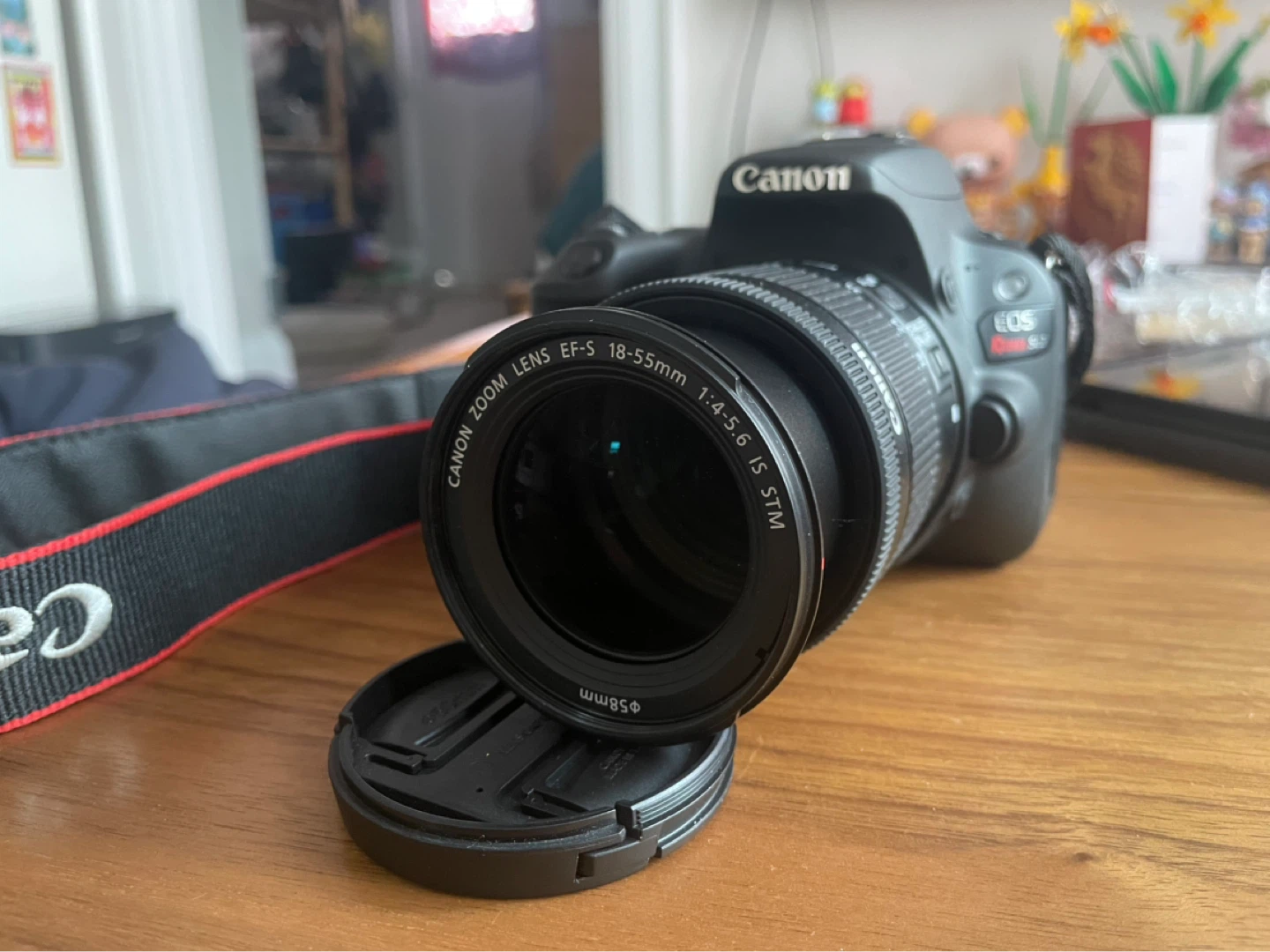 Canon EOS Rebel T7 DSLR Camera with 18-55mm and 55-250mm Lenses - photo 2