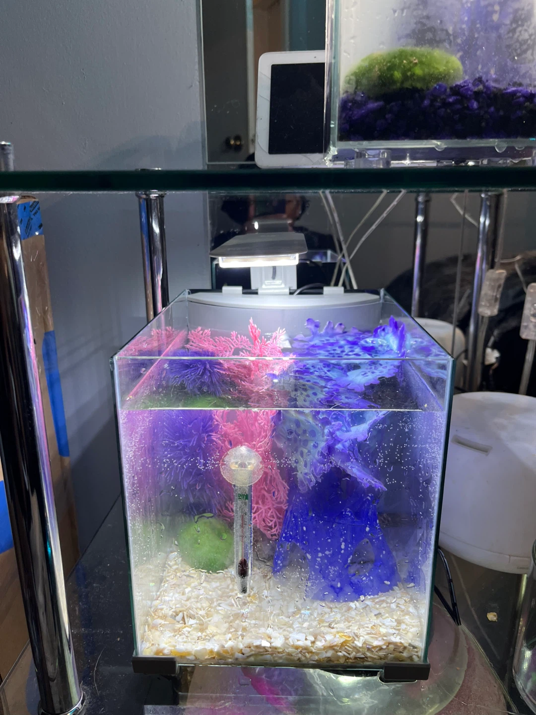 Top Fin Retreat Desktop Aquarium Kit 2.5 Gallon Glass - photo 2