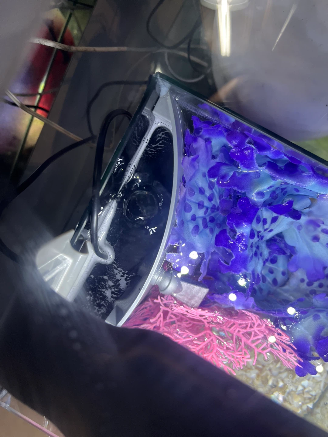 Top Fin Retreat Desktop Aquarium Kit 2.5 Gallon Glass - photo 3