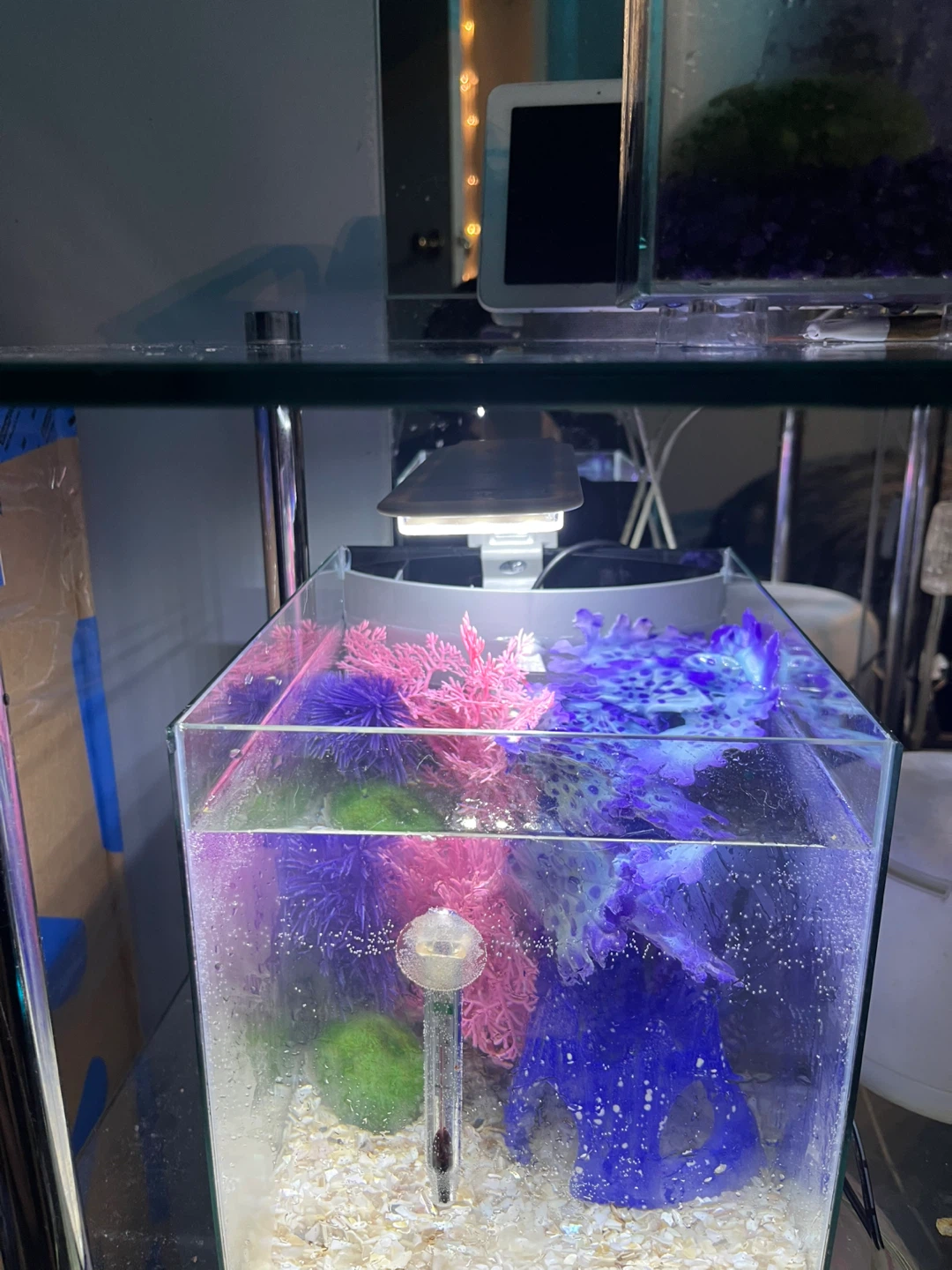 Top Fin Retreat Desktop Aquarium Kit 2.5 Gallon Glass - photo 5