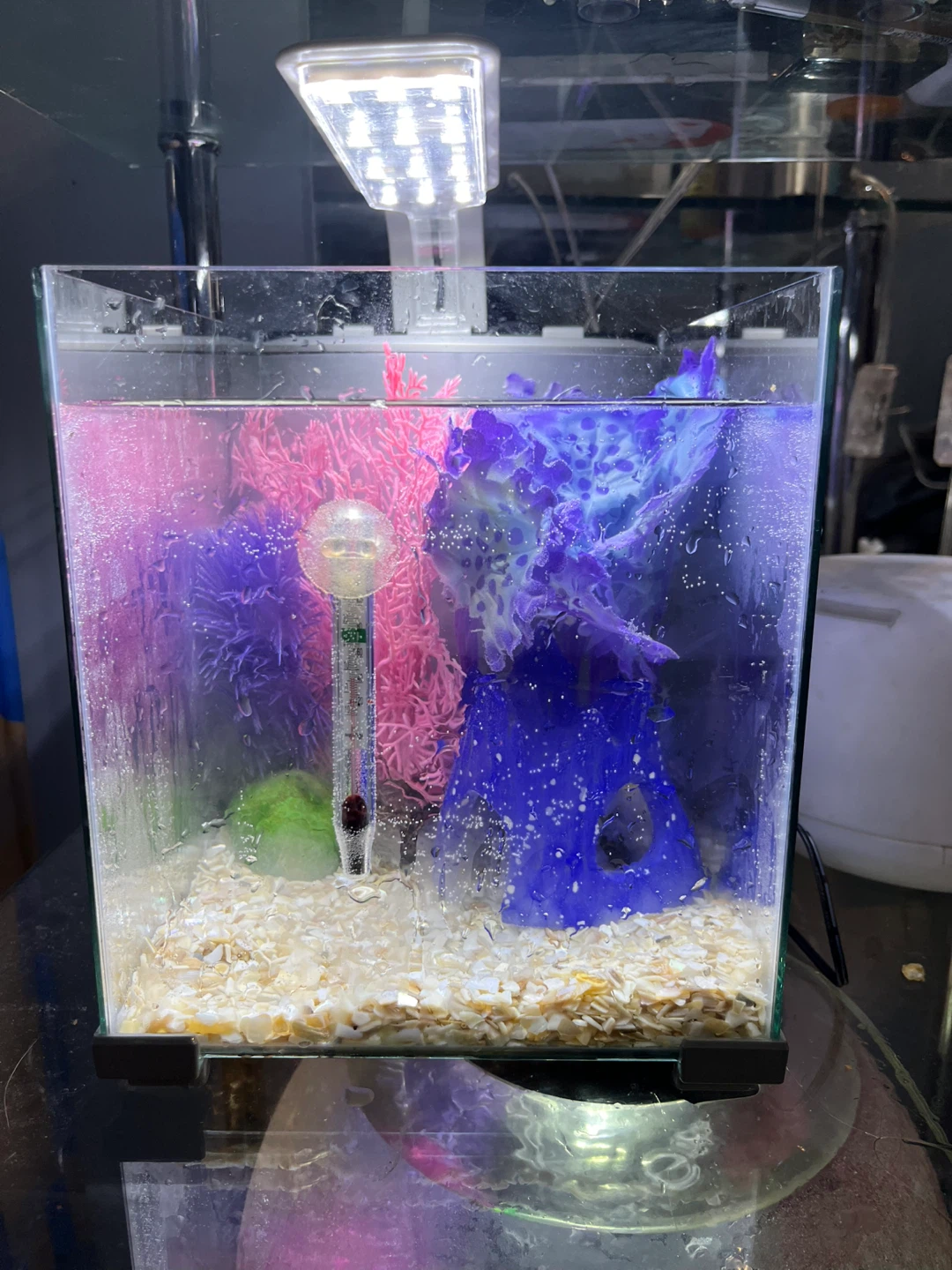 Top Fin Retreat Desktop Aquarium Kit 2.5 Gallon Glass