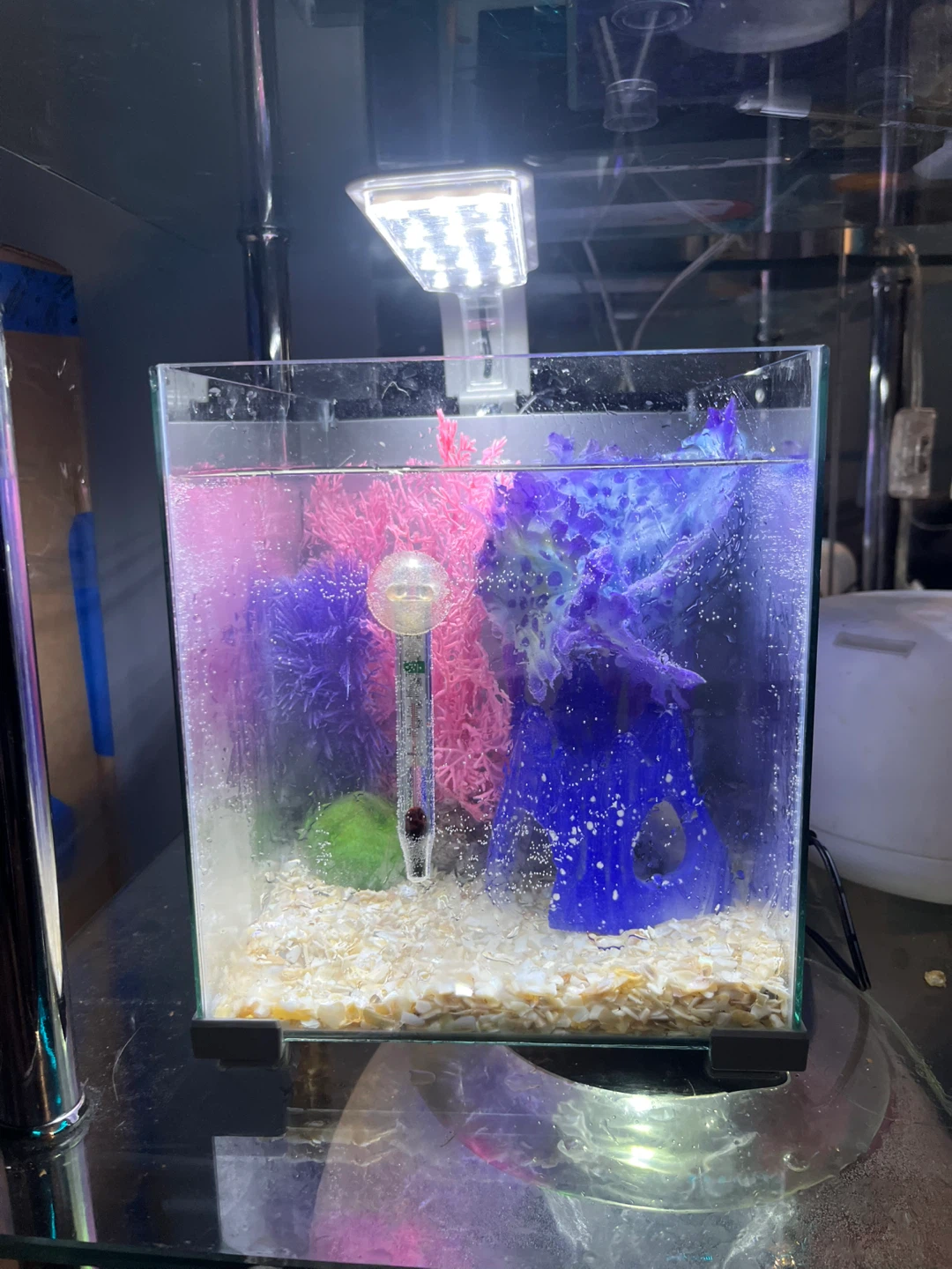 Top Fin Retreat Desktop Aquarium Kit 2.5 Gallon Glass - photo 4