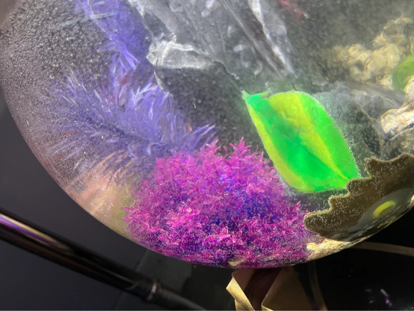 Bio orb fish tank aquarium - photo 5