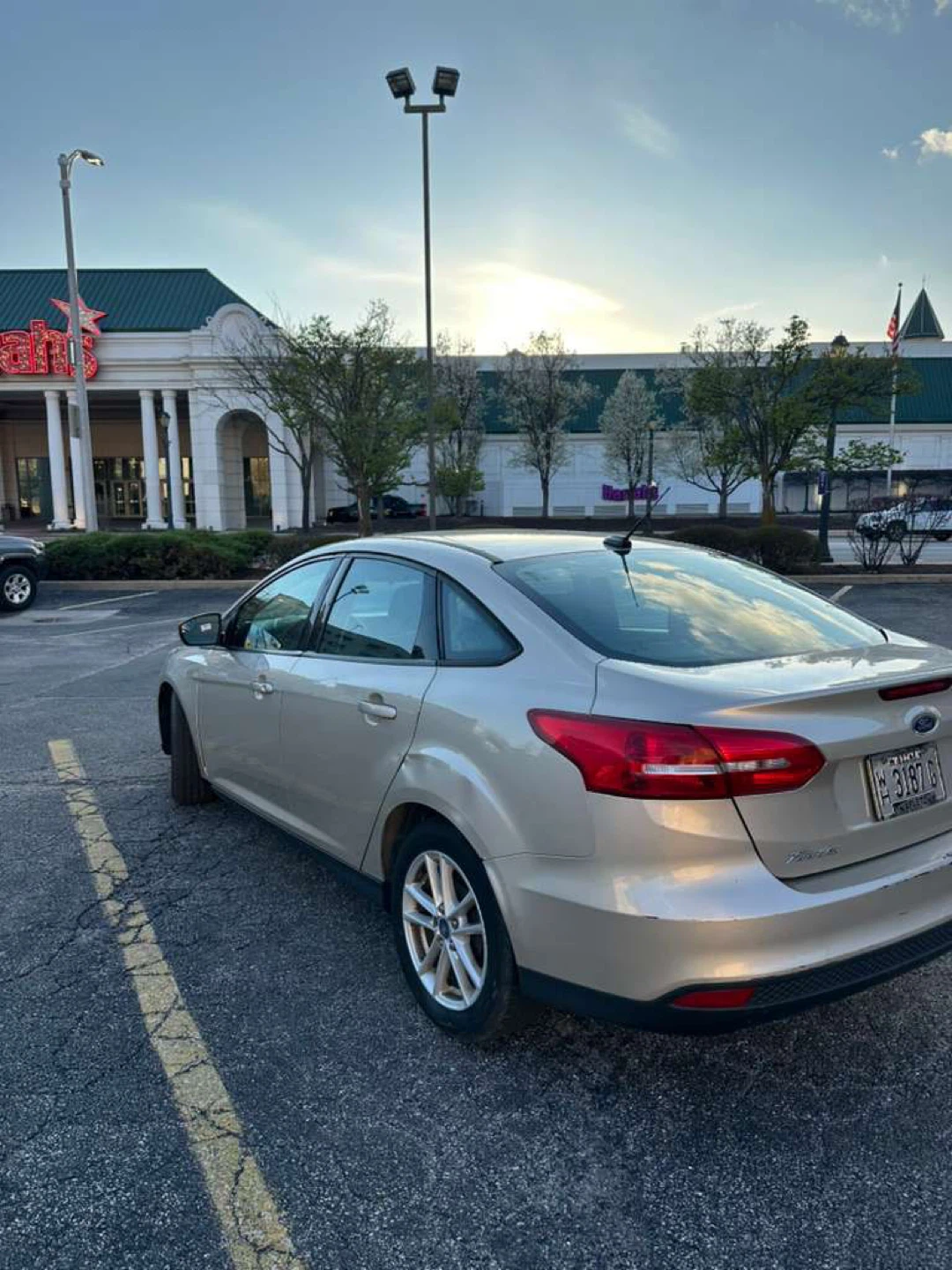 Used Ford Focus Sedan - Light Gold Color - photo 5