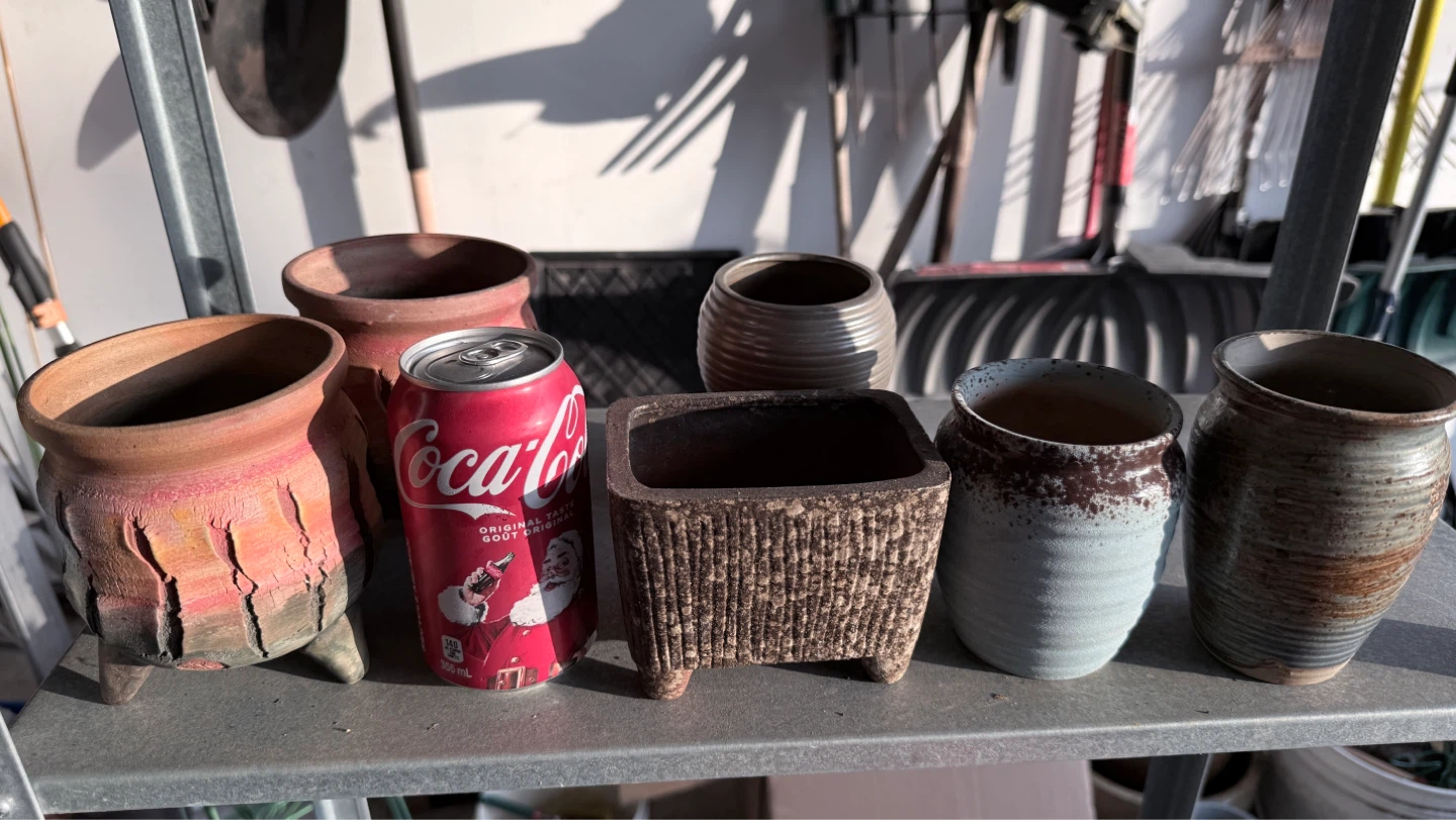 Assorted plant pots for sale - photo 2