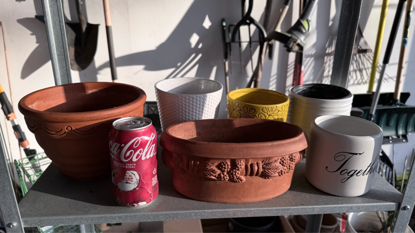 Assorted plant pots for sale - photo 4