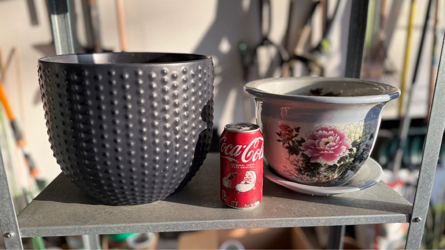 Assorted plant pots for sale - photo 5