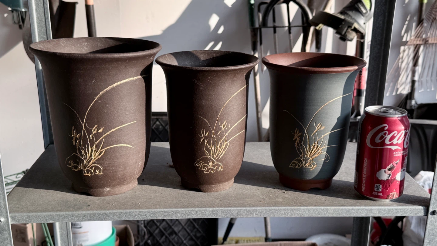 Assorted plant pots for sale