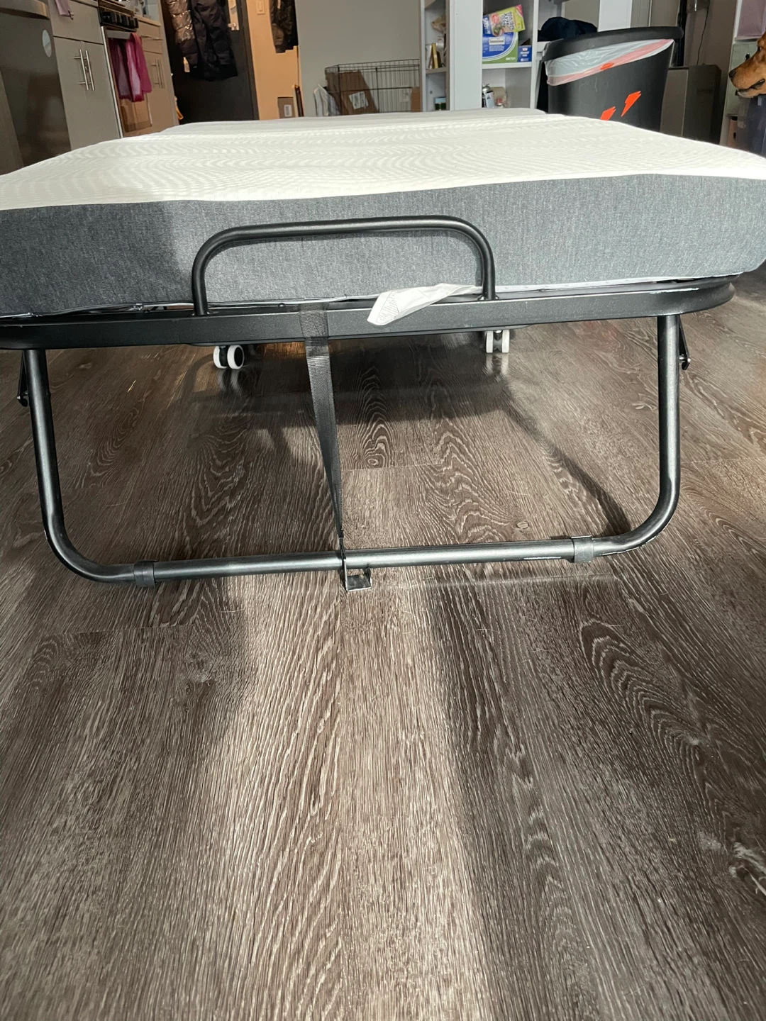 Folding Twin Bed with 4" Mattress - photo 3