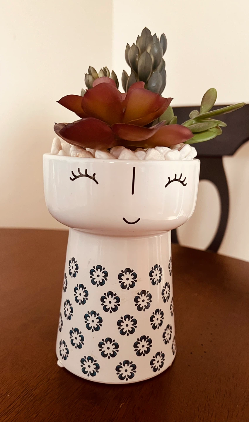 Decorative Ceramic Face Planter w/Artificial Succulents