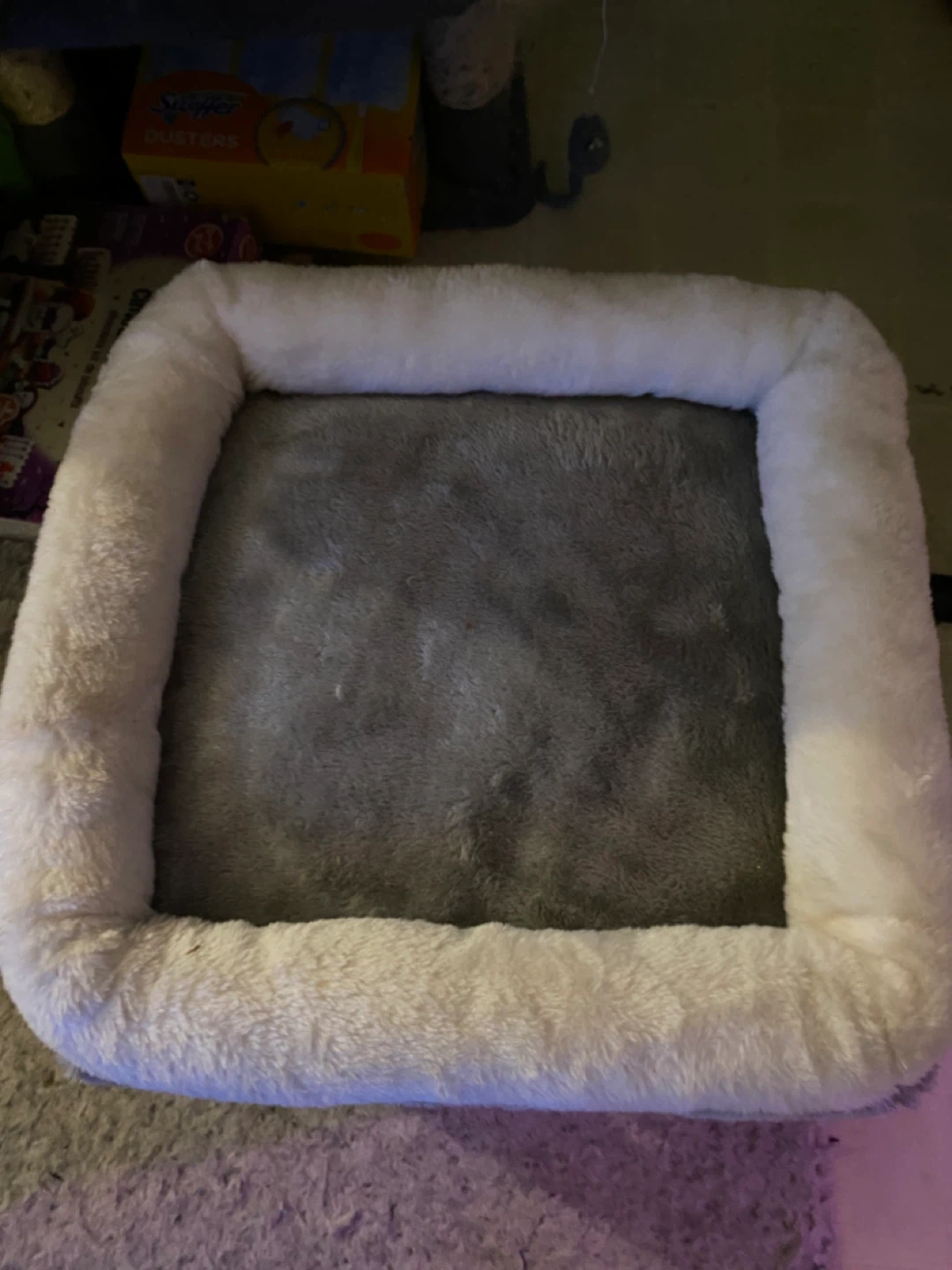 Grey cat condo - photo 2
