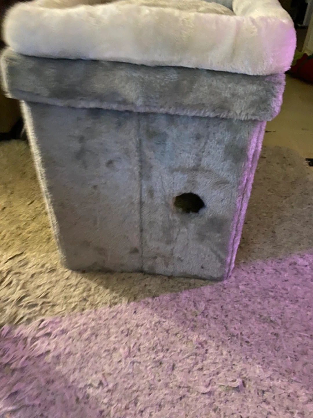 Grey cat condo - photo 3