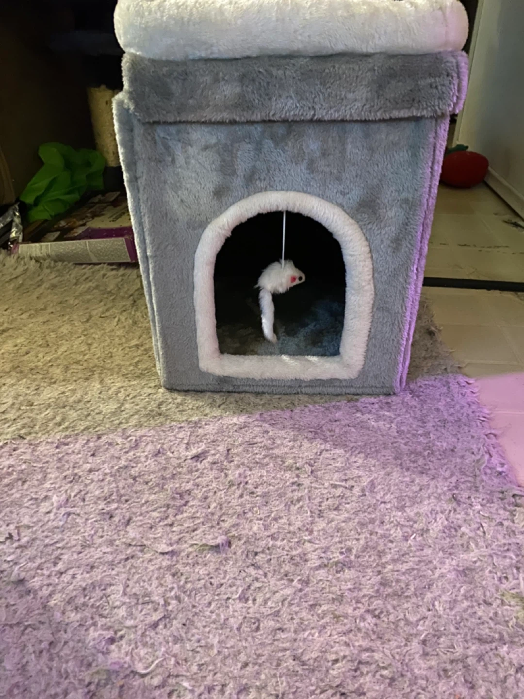 Grey cat condo