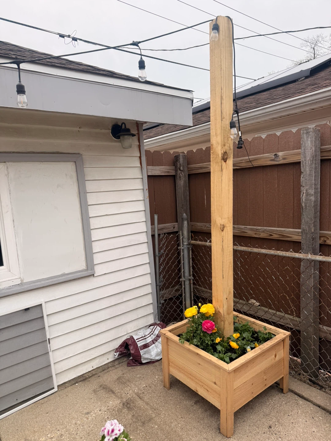 Modern Cedar Planter Box – Handmade – Ready Today - photo 2