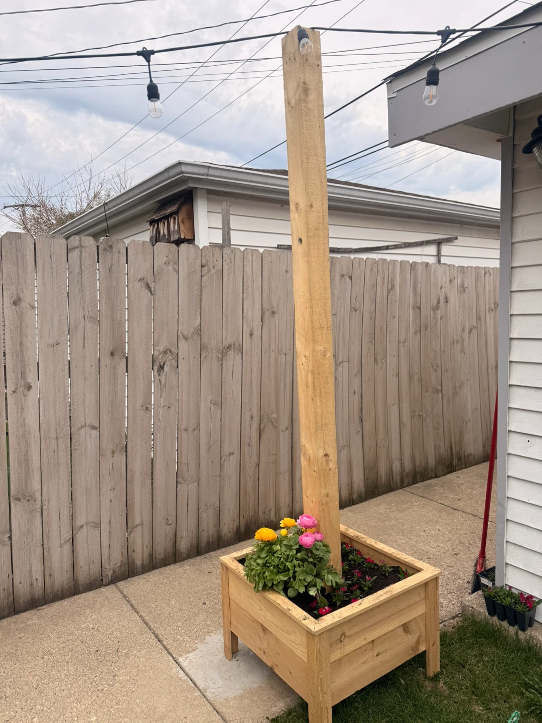Modern Cedar Planter Box – Handmade – Ready Today - photo 3