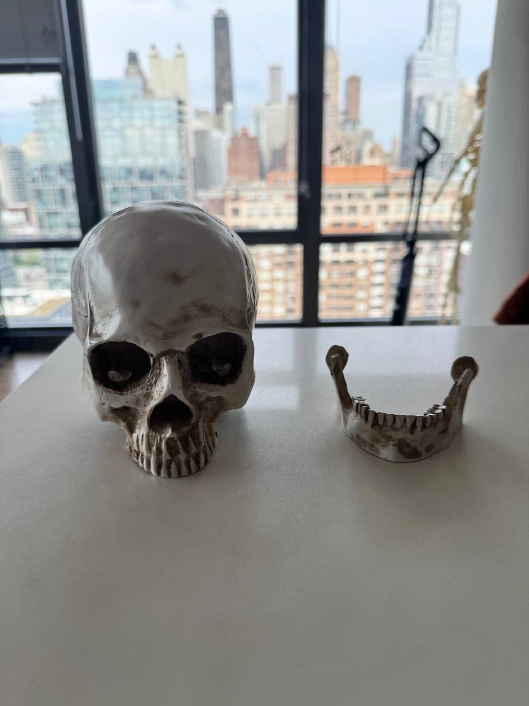 Halloween Prop Skull Replica Prop - photo 4
