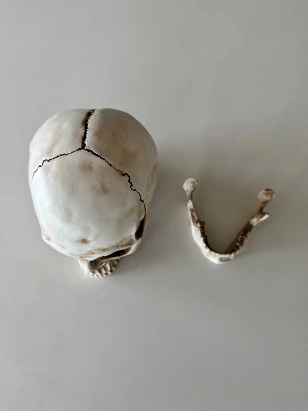Halloween Prop Skull Replica Prop - photo 5