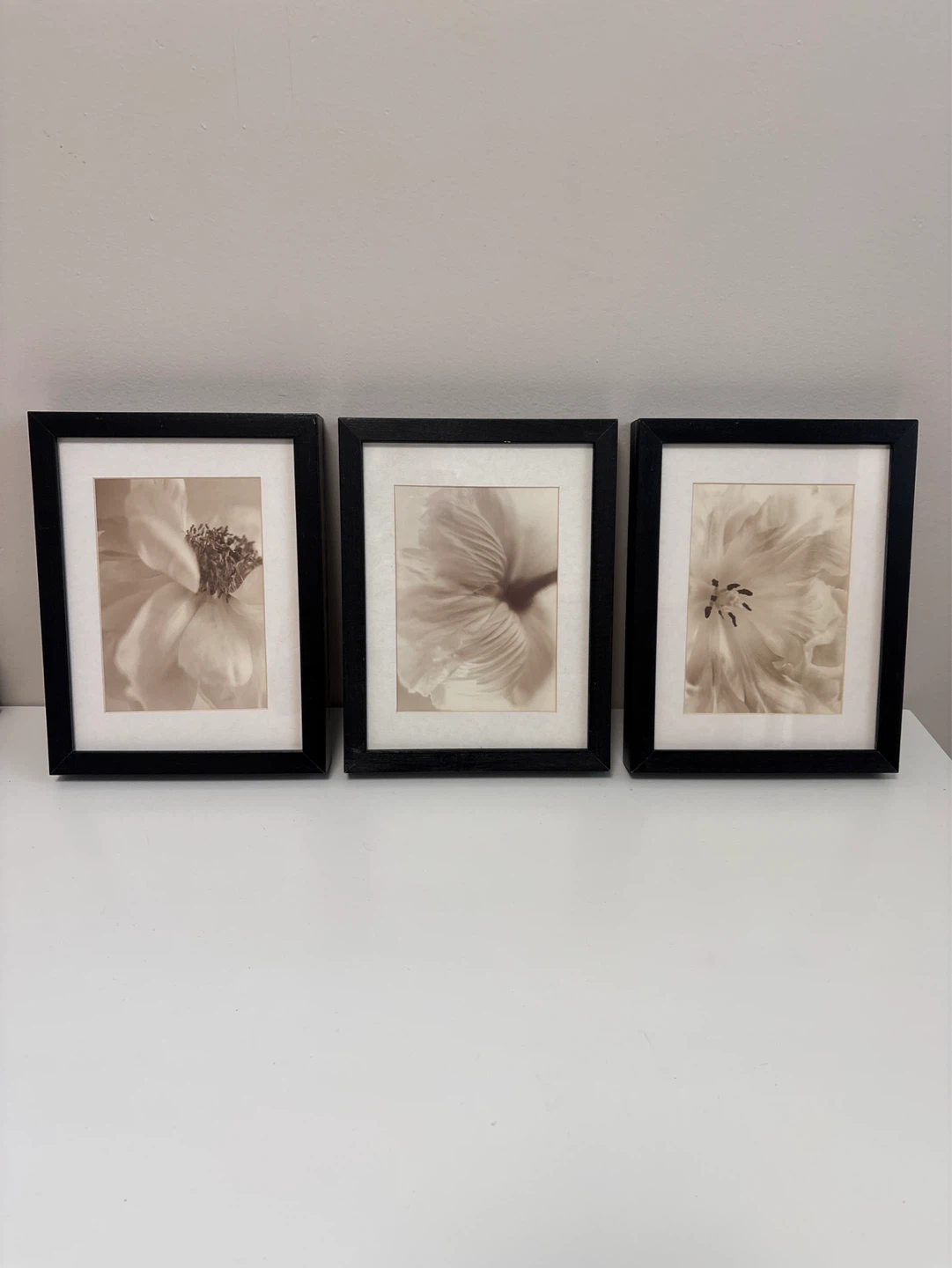 Set of 3 Framed Floral Art Prints