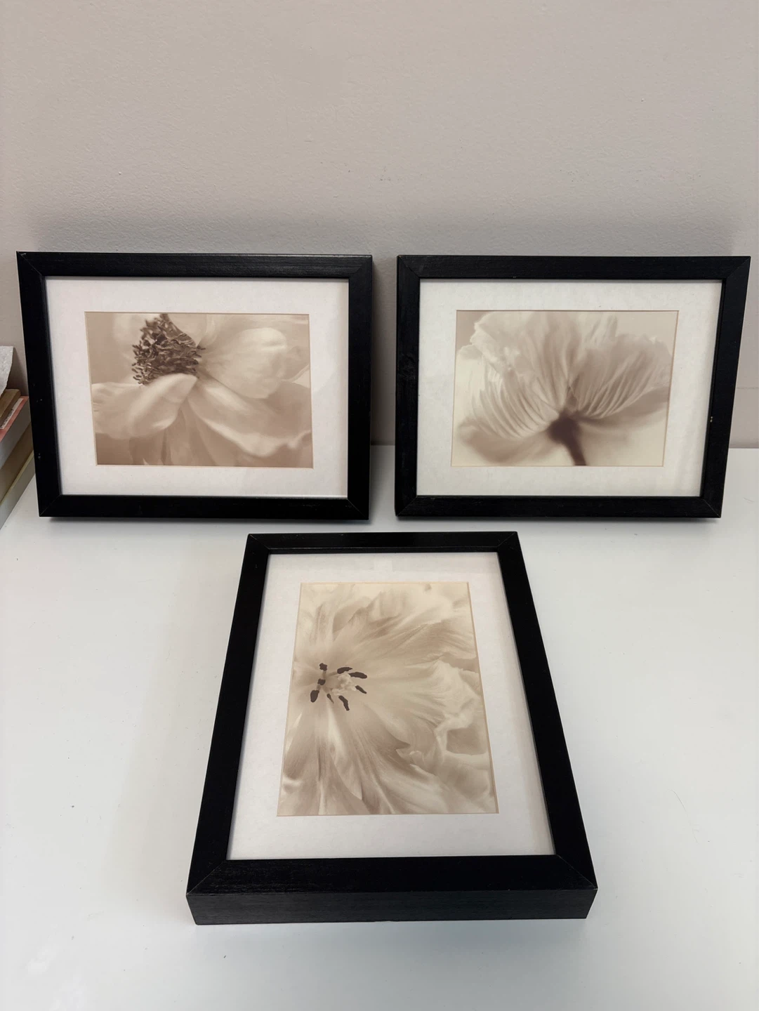 Set of 3 Framed Floral Art Prints - photo 2