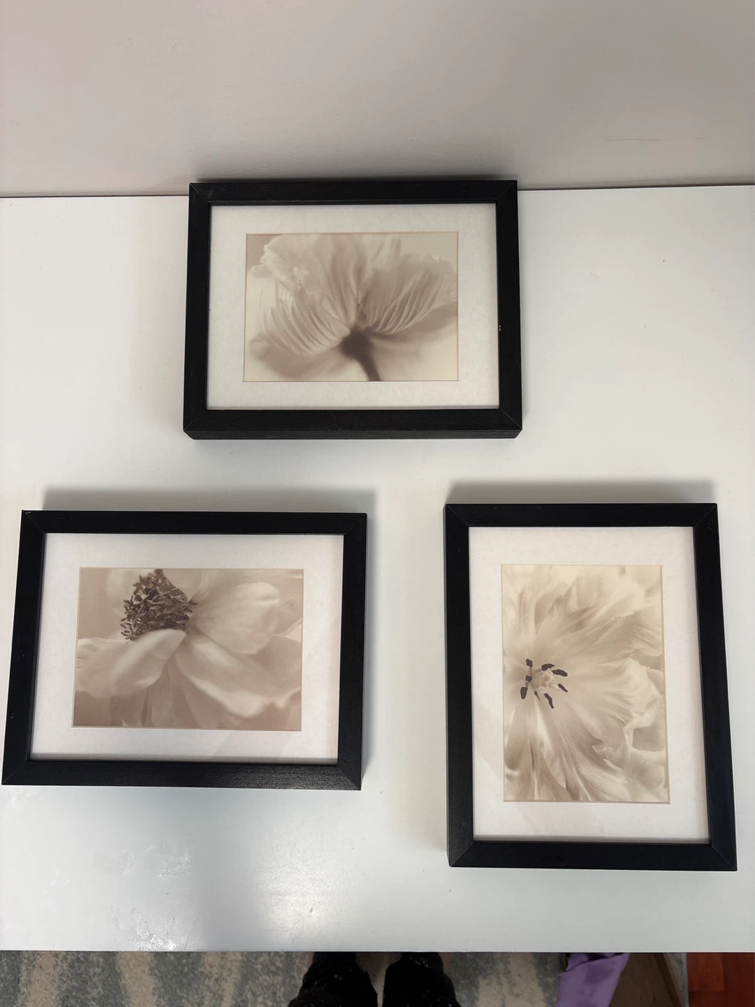 Set of 3 Framed Floral Art Prints - photo 3