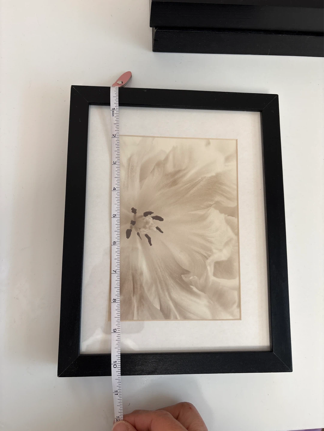 Set of 3 Framed Floral Art Prints - photo 5