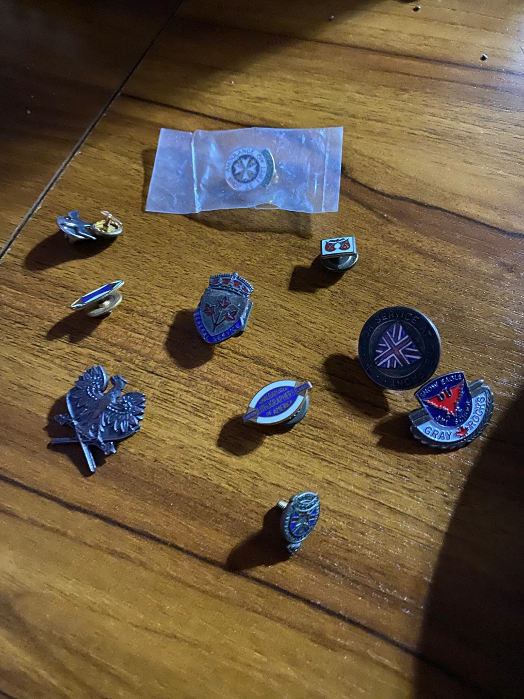 Assorted Lapel Pins Collection