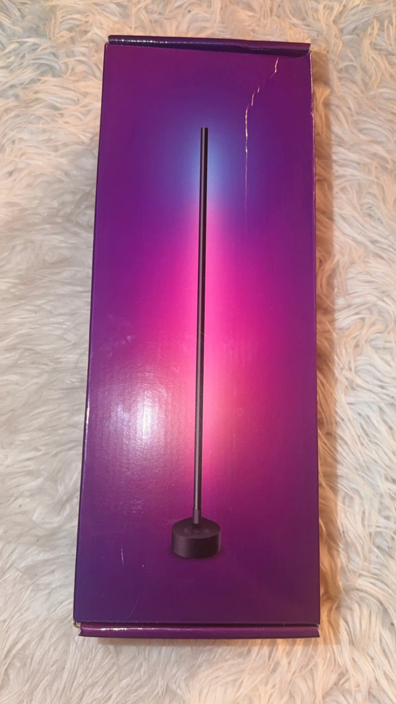 LED Floor Lamp
