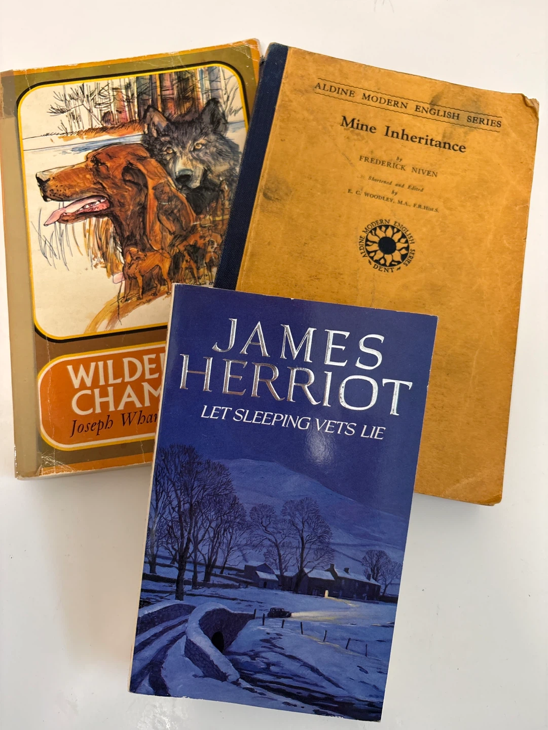 Collection of 3 vintage books