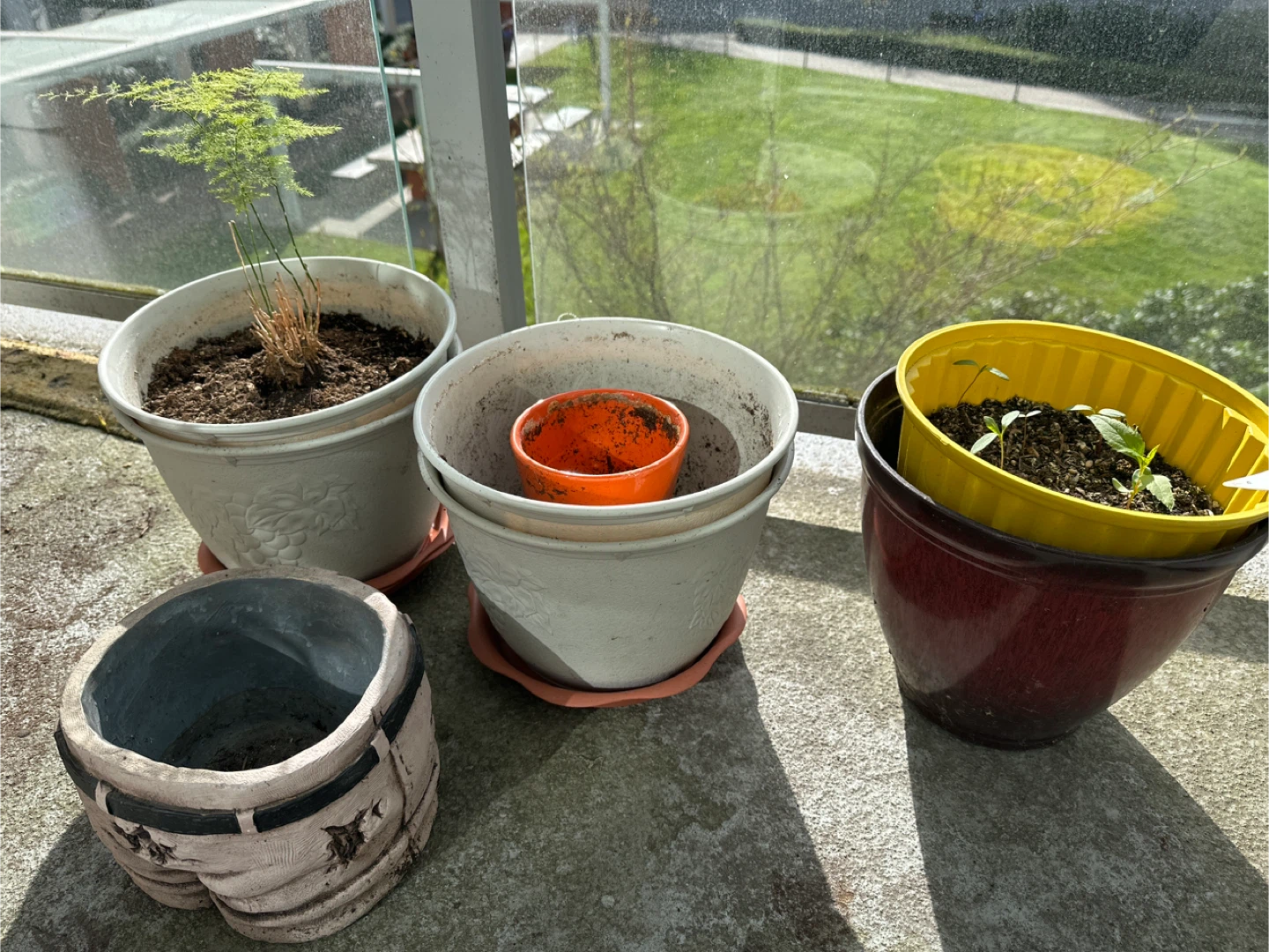 Assorted Planters and Pots