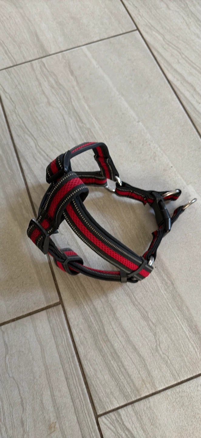 Red and Black Dog Harness