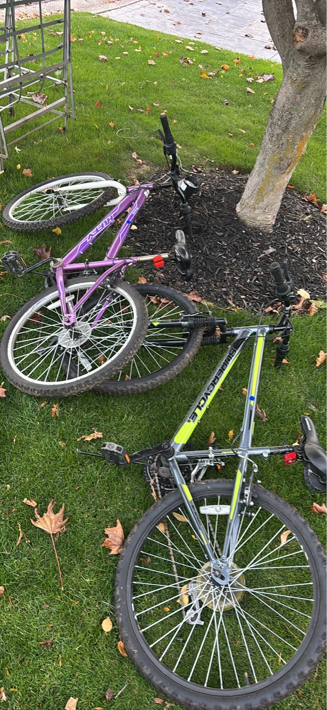 Kids Purple & Grey/Yellow Mountain Bikes