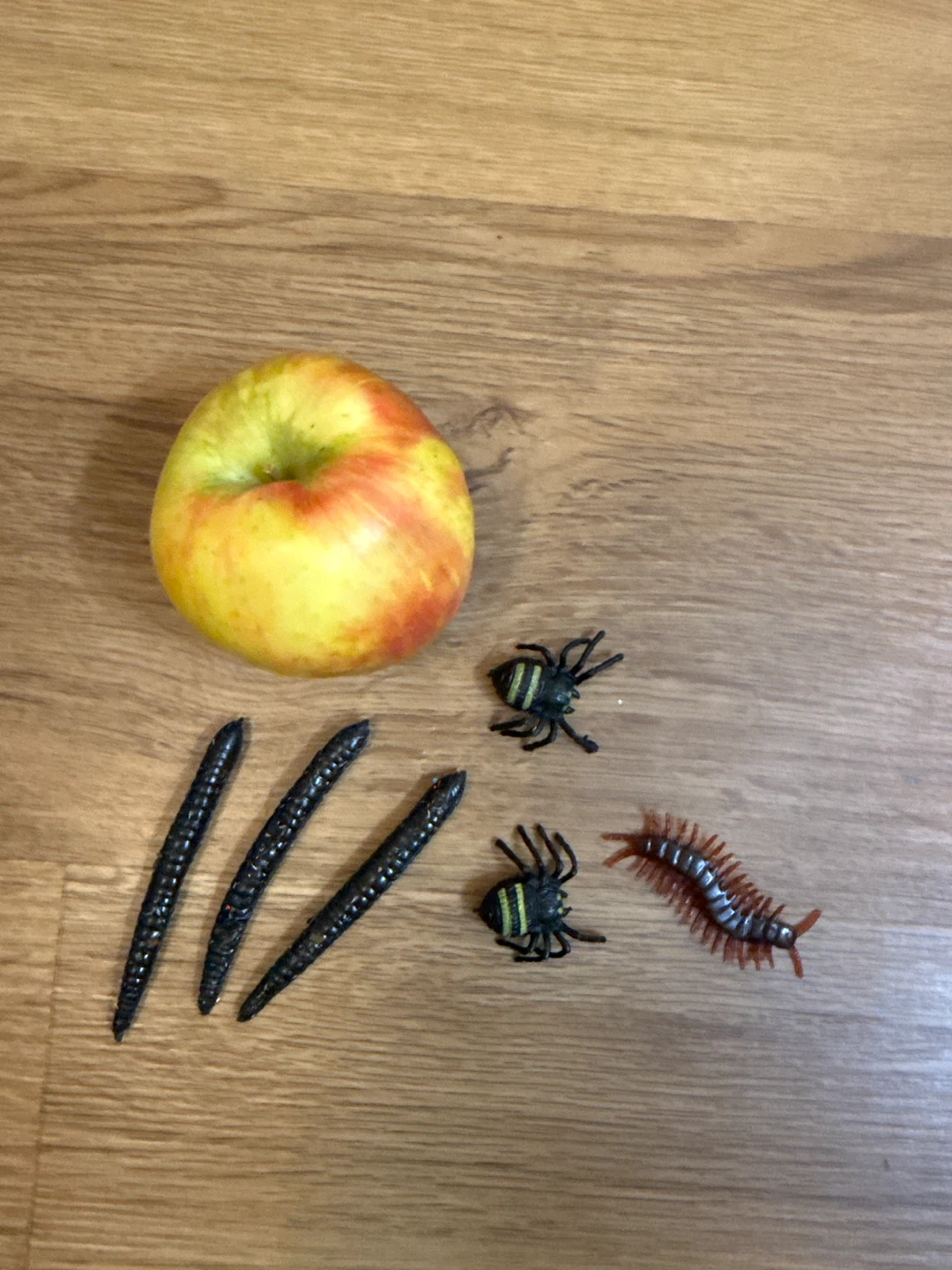 Toy Bugs and Worms Assortment - photo 2