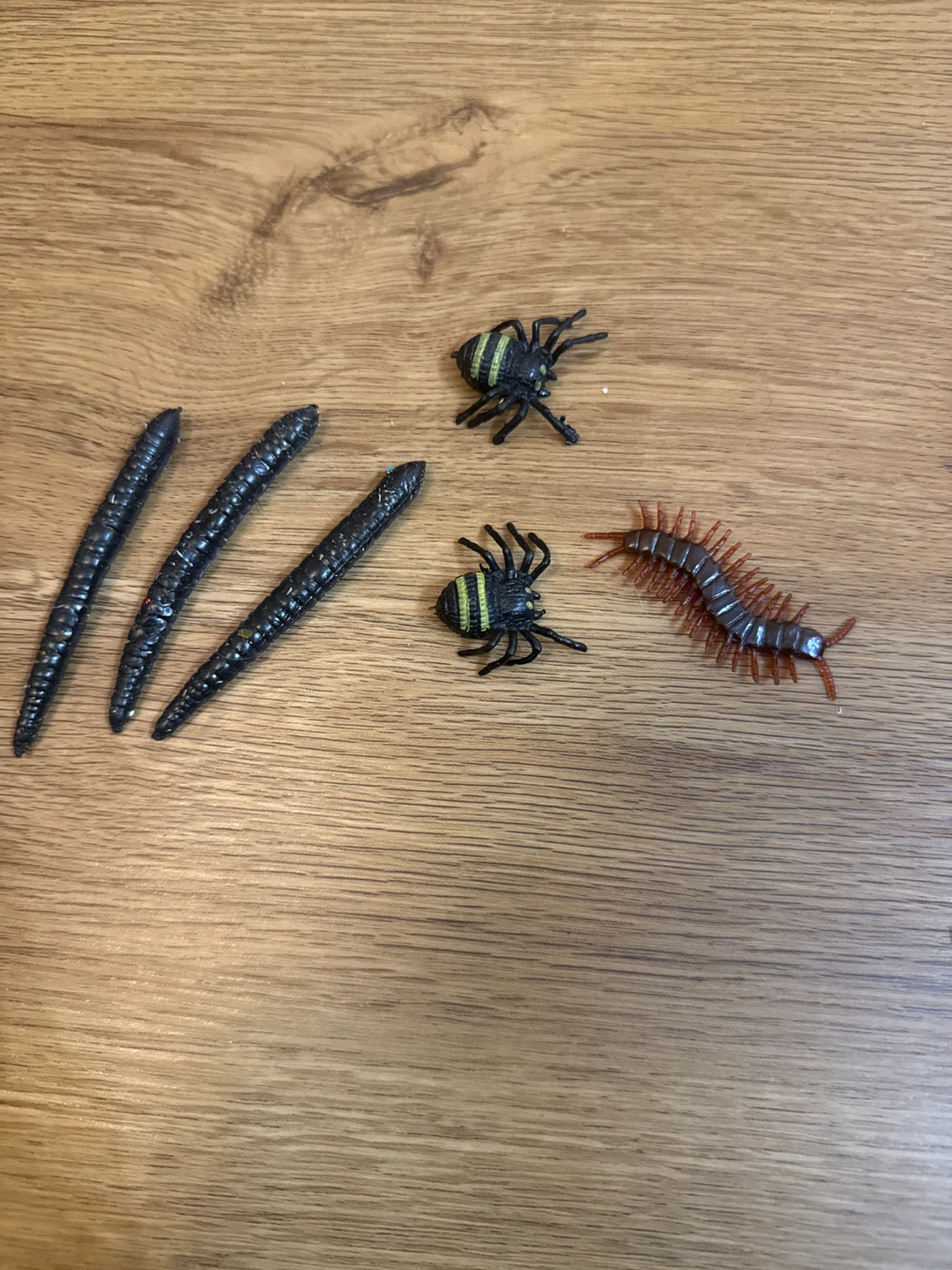 Toy Bugs and Worms Assortment