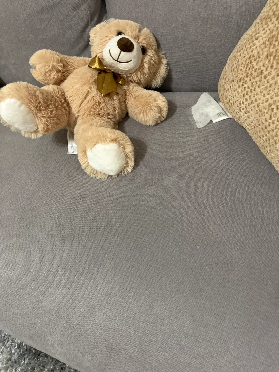 Plush Teddy Bear