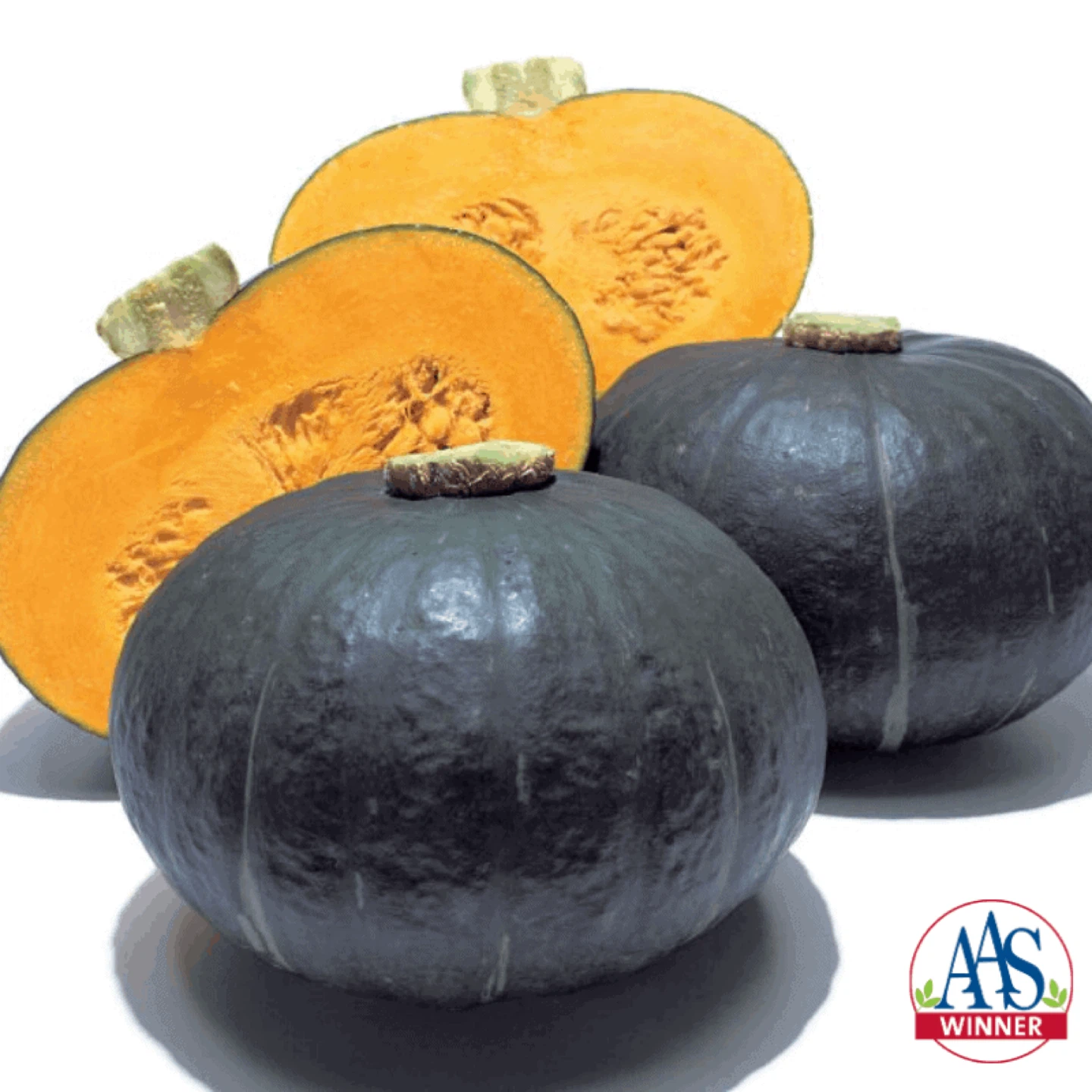 Sweet Mama Pumpkin - photo 3