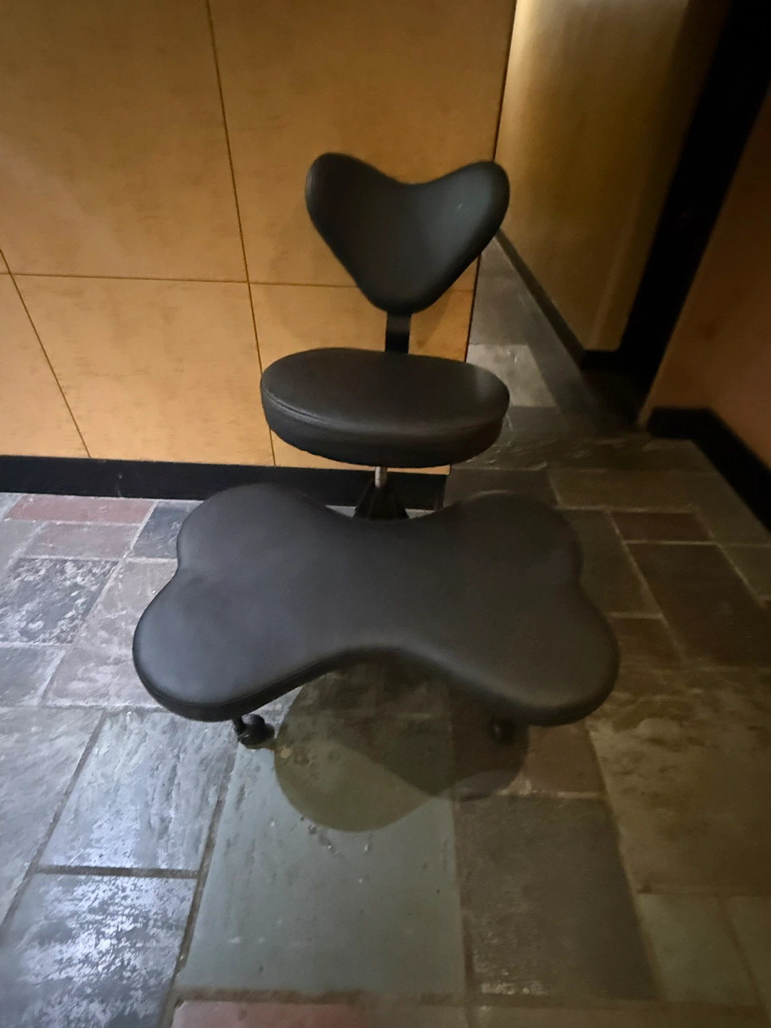 Ergonomic Bone Chair with Wheels