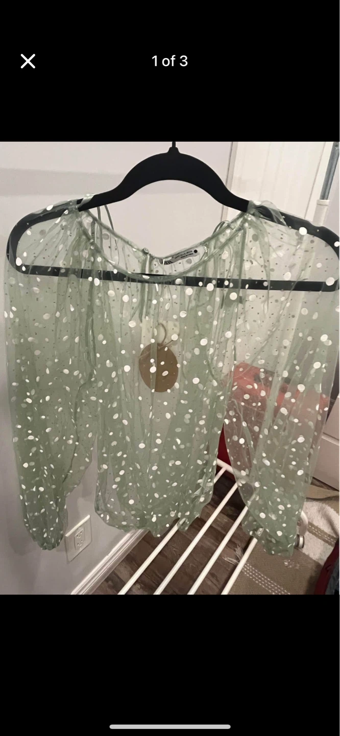 Sheer polka dot long sleeve blouse