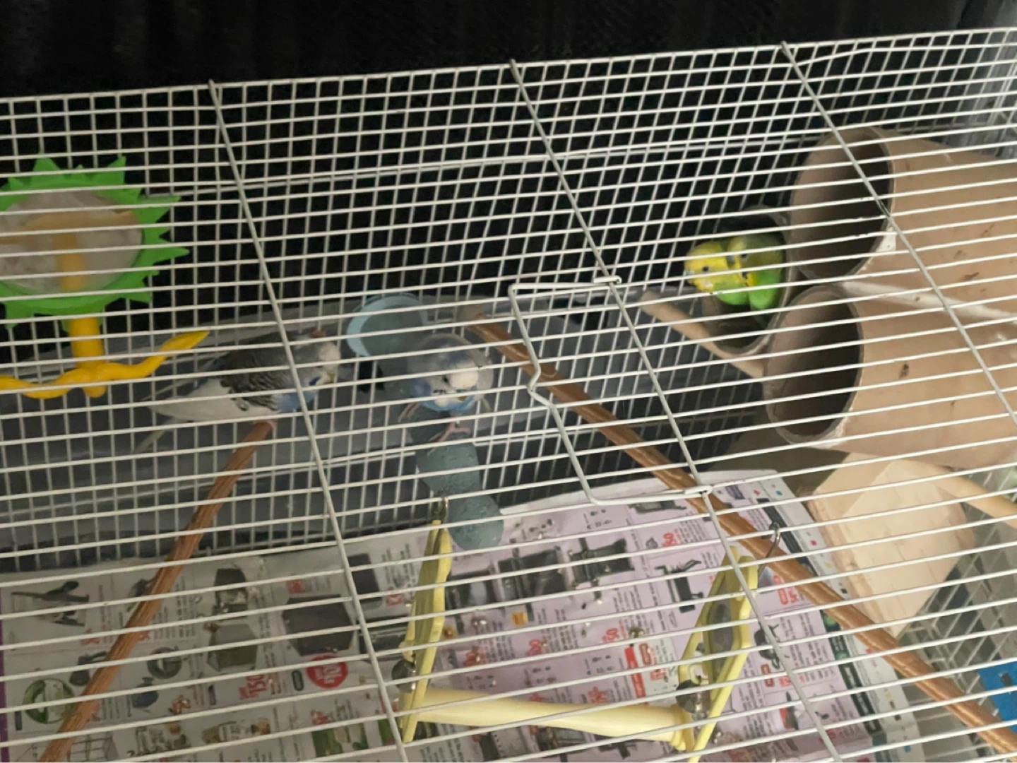 White Bird Cage with Accessories - photo 2