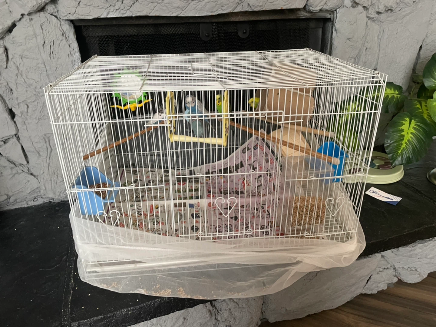 White Bird Cage with Accessories