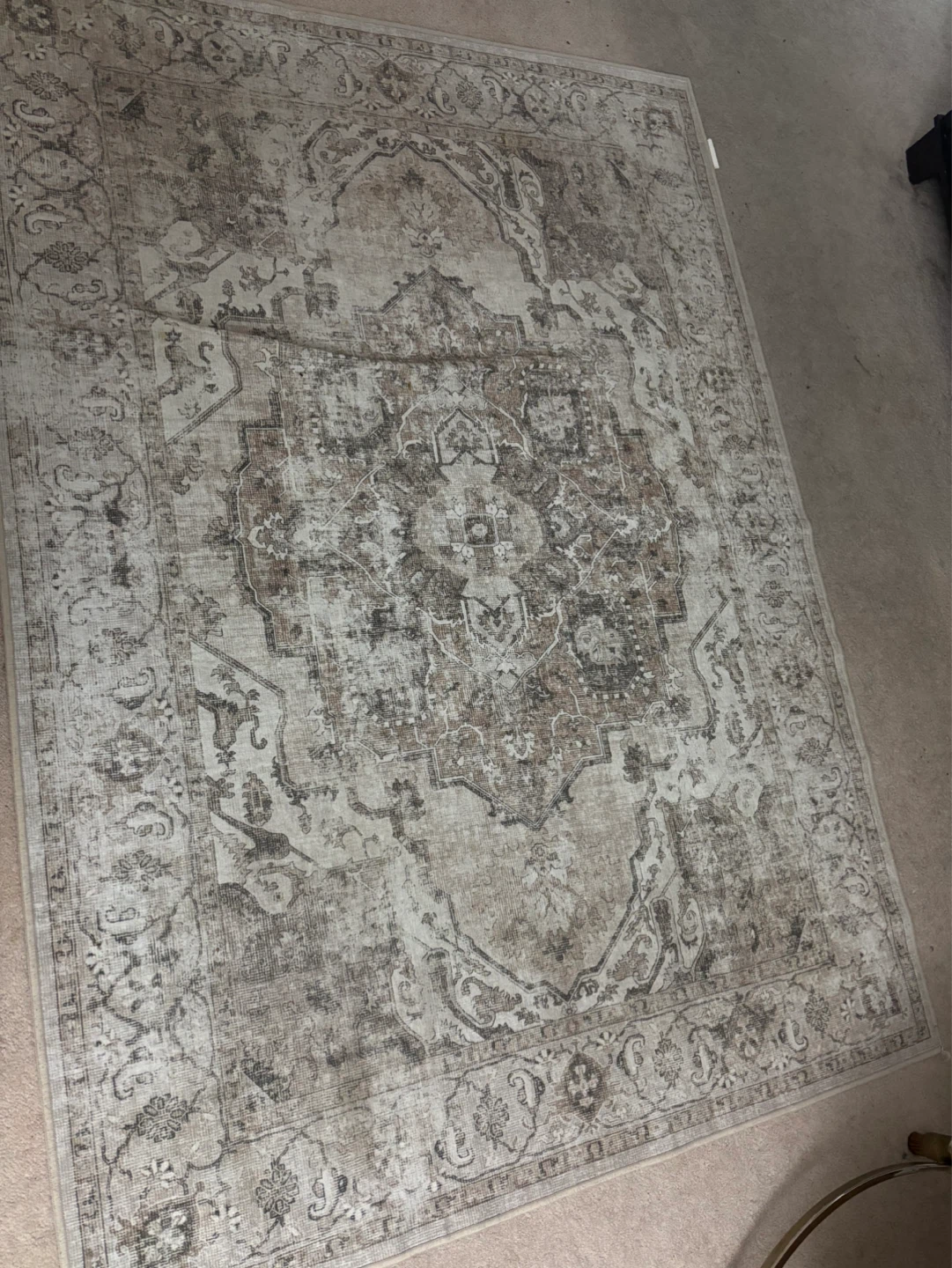 Distressed Oriental Area Rug