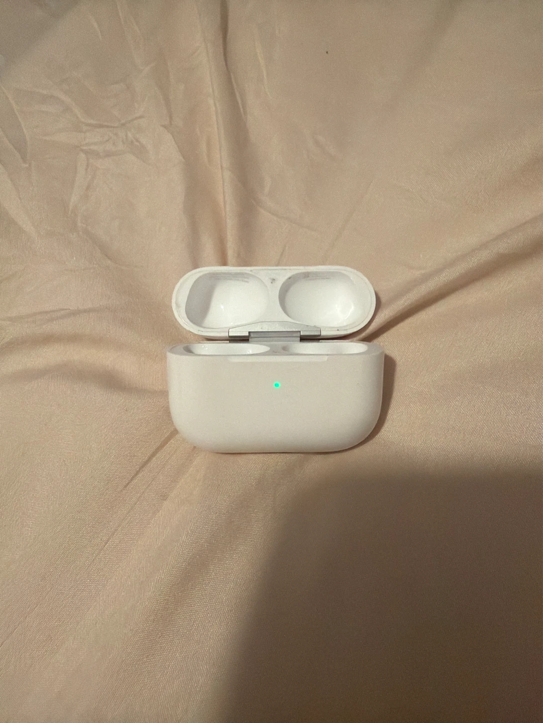 Apple AirPods Pro Charging Case - photo 2