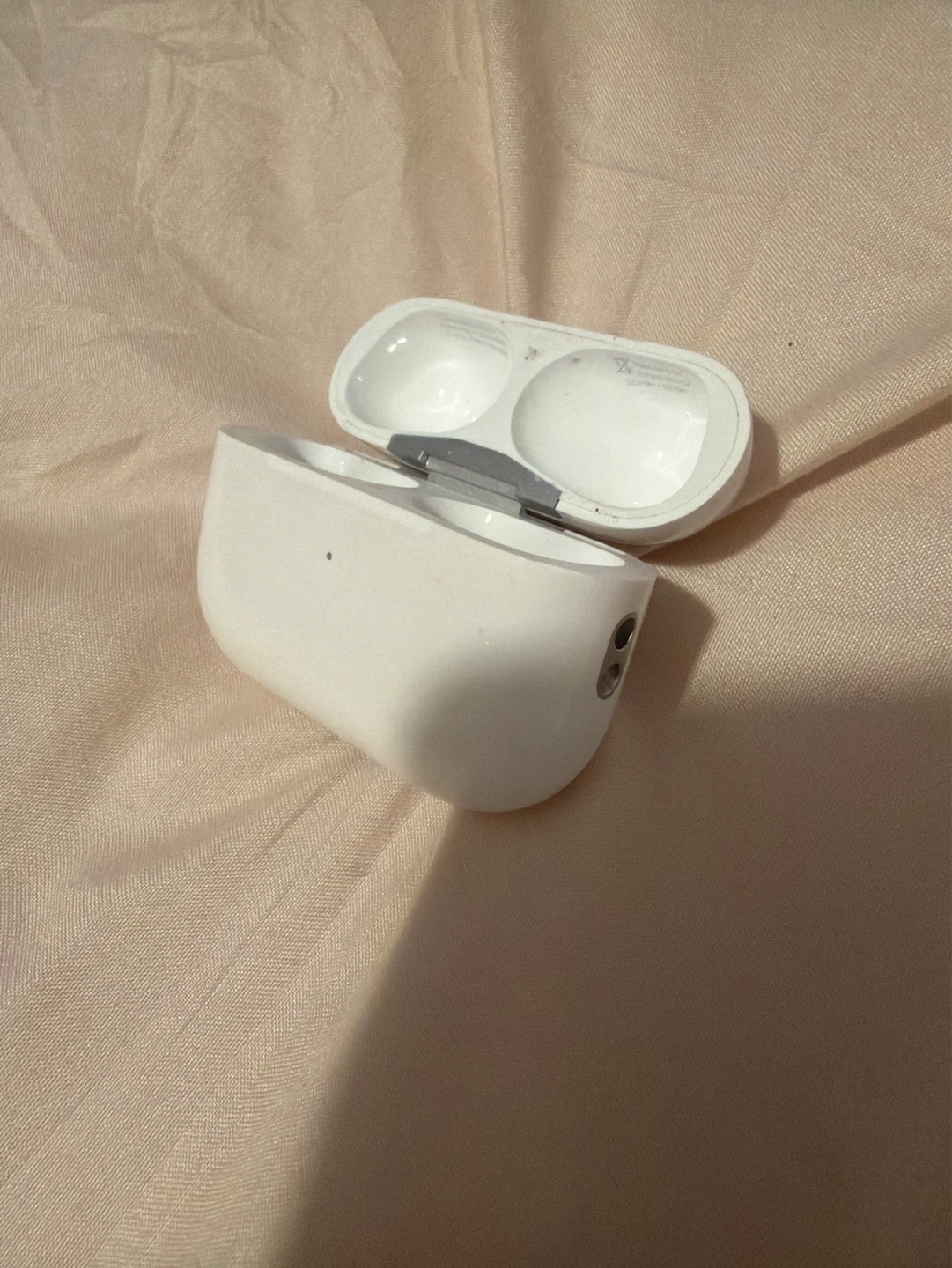 Apple AirPods Pro Charging Case - photo 3