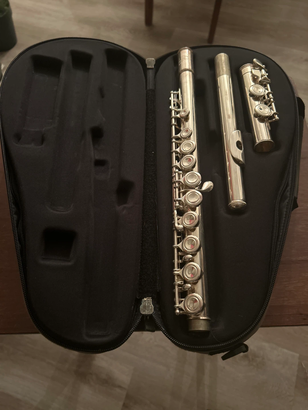 Silver Metal Flute with Case
